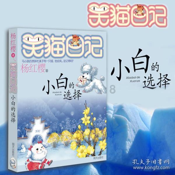 赛车计划2