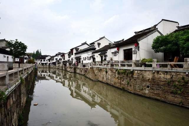 呆萌动物园